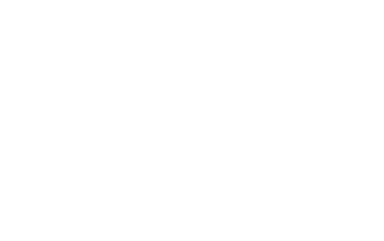 Digiverse Logo